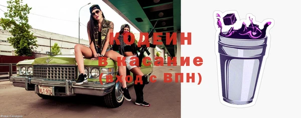 стаф Каменногорск