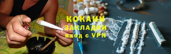 стаф Каменногорск