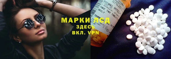стаф Каменногорск