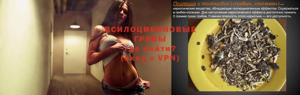 стаф Каменногорск