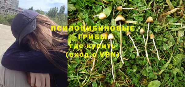 стаф Каменногорск