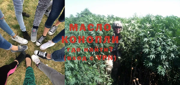 стаф Каменногорск
