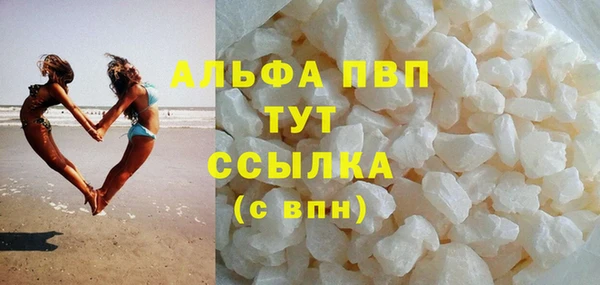 стаф Каменногорск